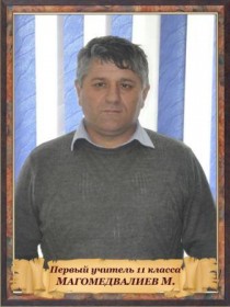 Предметно-методические объединения.